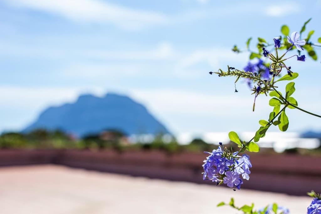 Relais Il Corallo ปอร์โตซานเปาโล ภายนอก รูปภาพ